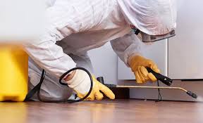 Best Termite Inspection and Treatment  in Turley, OK